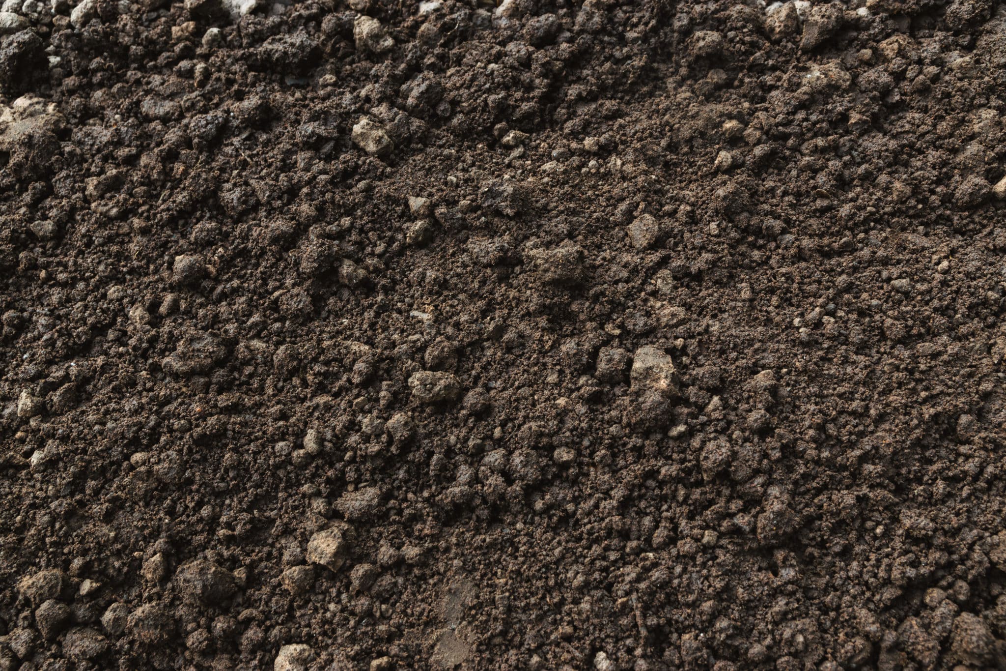 Soil health – not simply a diet of worms - Landmark Academy